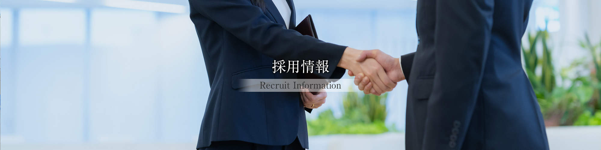 採用情報